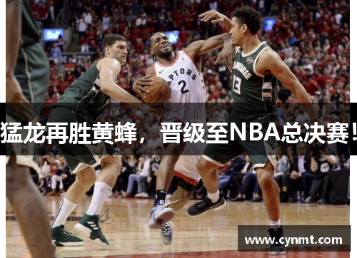 猛龙再胜黄蜂，晋级至NBA总决赛！