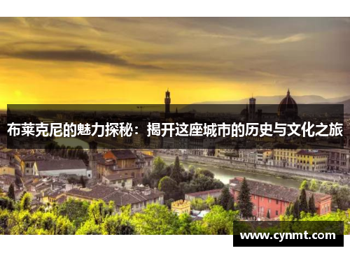 布莱克尼的魅力探秘：揭开这座城市的历史与文化之旅
