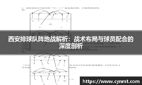 西安排球队阵地战解析：战术布局与球员配合的深度剖析