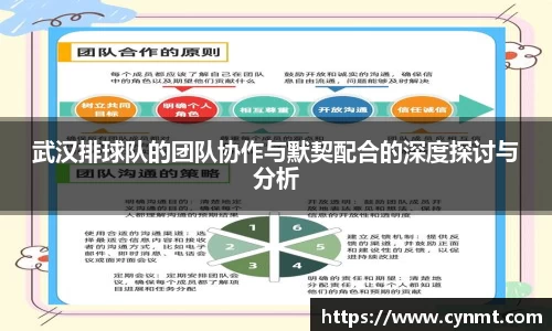 武汉排球队的团队协作与默契配合的深度探讨与分析